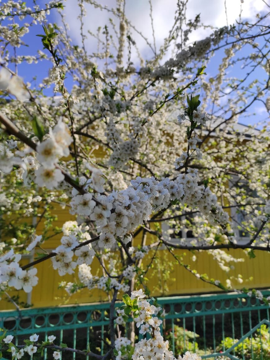 Фото автора Алёна Р 