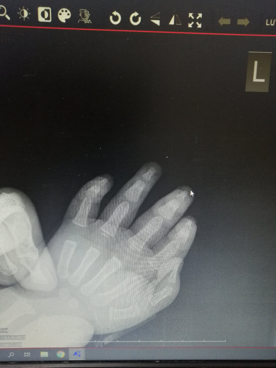 Попросили сфотографировать снимок, теперь кричит на меня из галереи телефона - "как ты могла?!" 