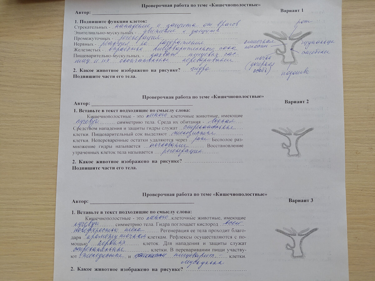 Урок зоологии. Патентное бюро на уроке — ход эволюции запоминается на всю  жизнь | Елена Сова: пуд соли в школе | Дзен