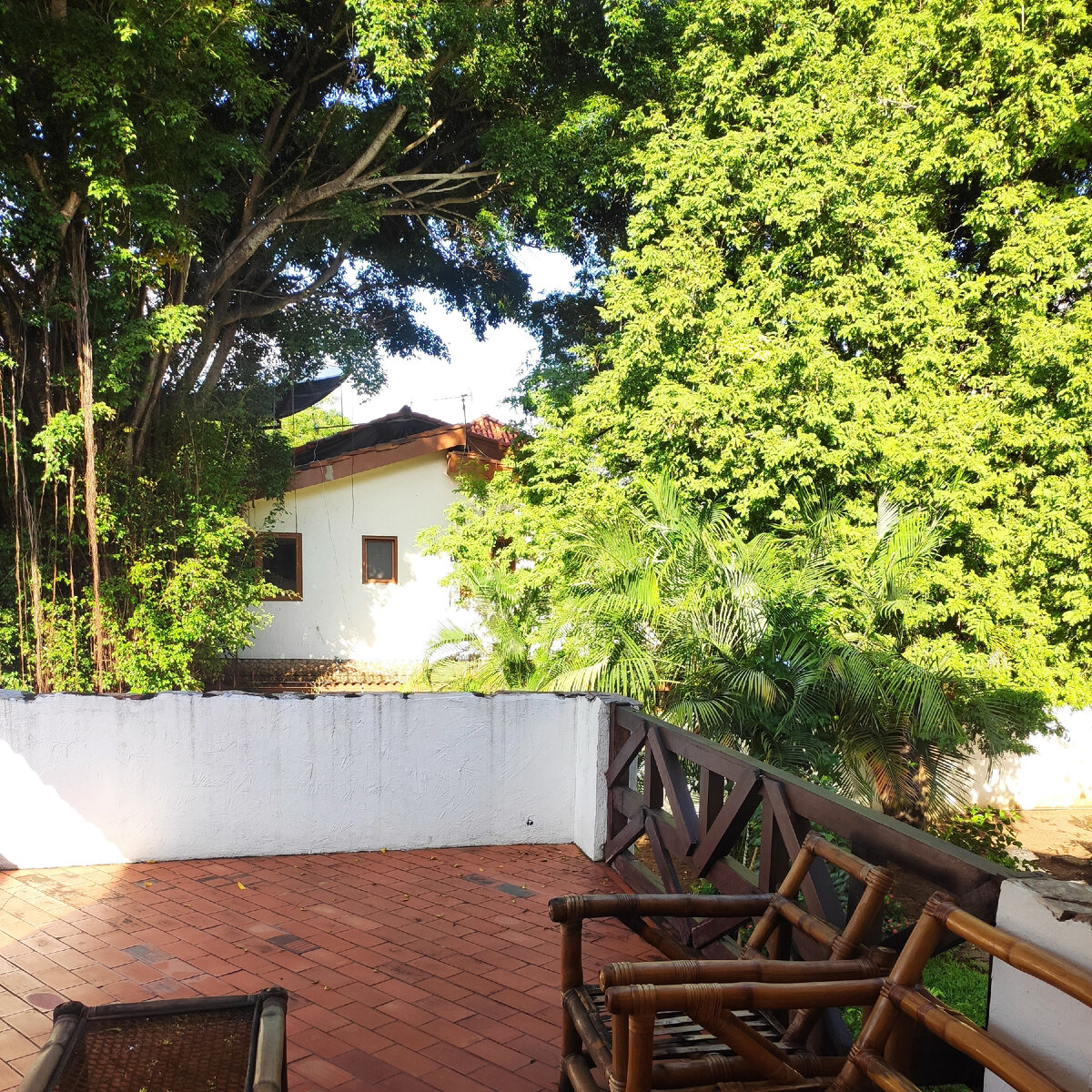 7:00 за окном уже палящее солнце и во всю поют всевозможные птицы