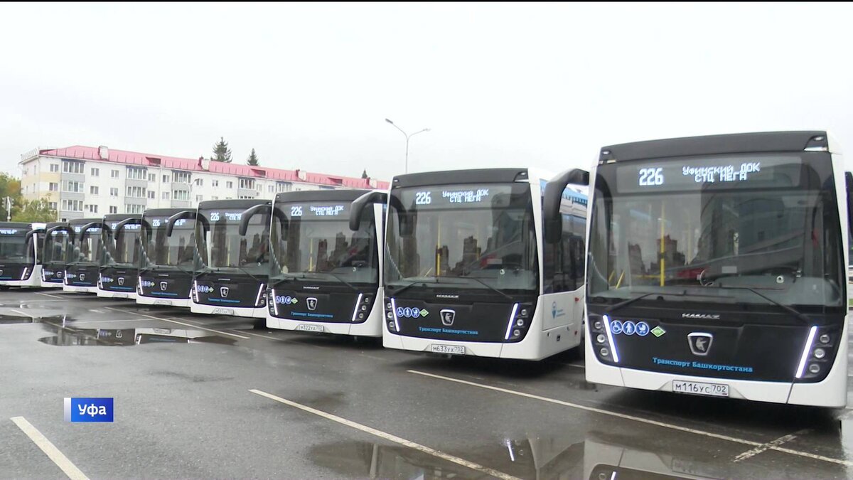    Столичный автопарк пополнился на 50 новых автобусов марки "НефАЗ"