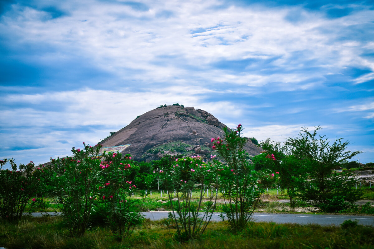 Картинка с бесплатного фотостока https://unsplash.com, автор  Tamilinian Ramachandran