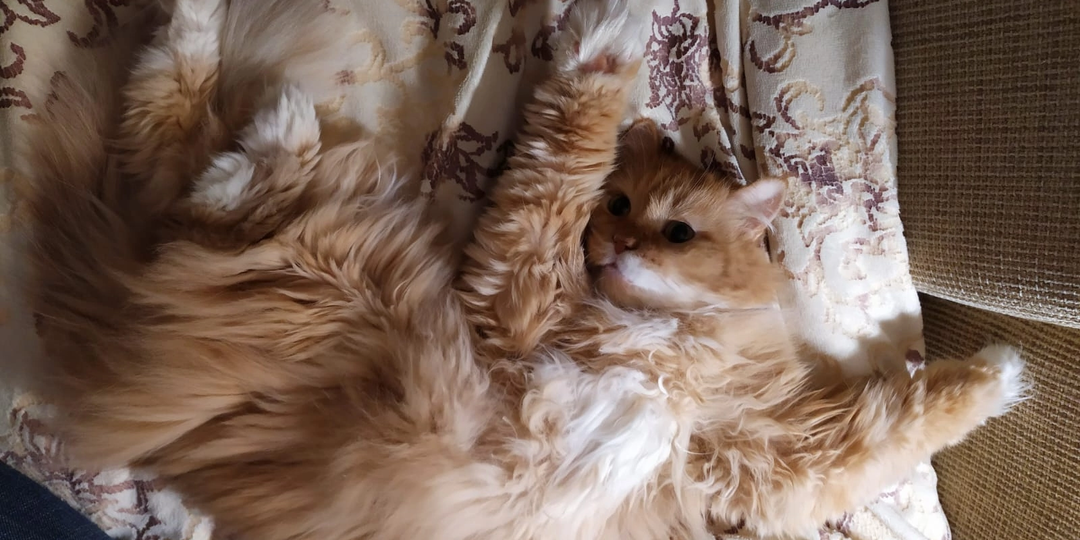 Встреча, которая изменила их жизнь навсегда