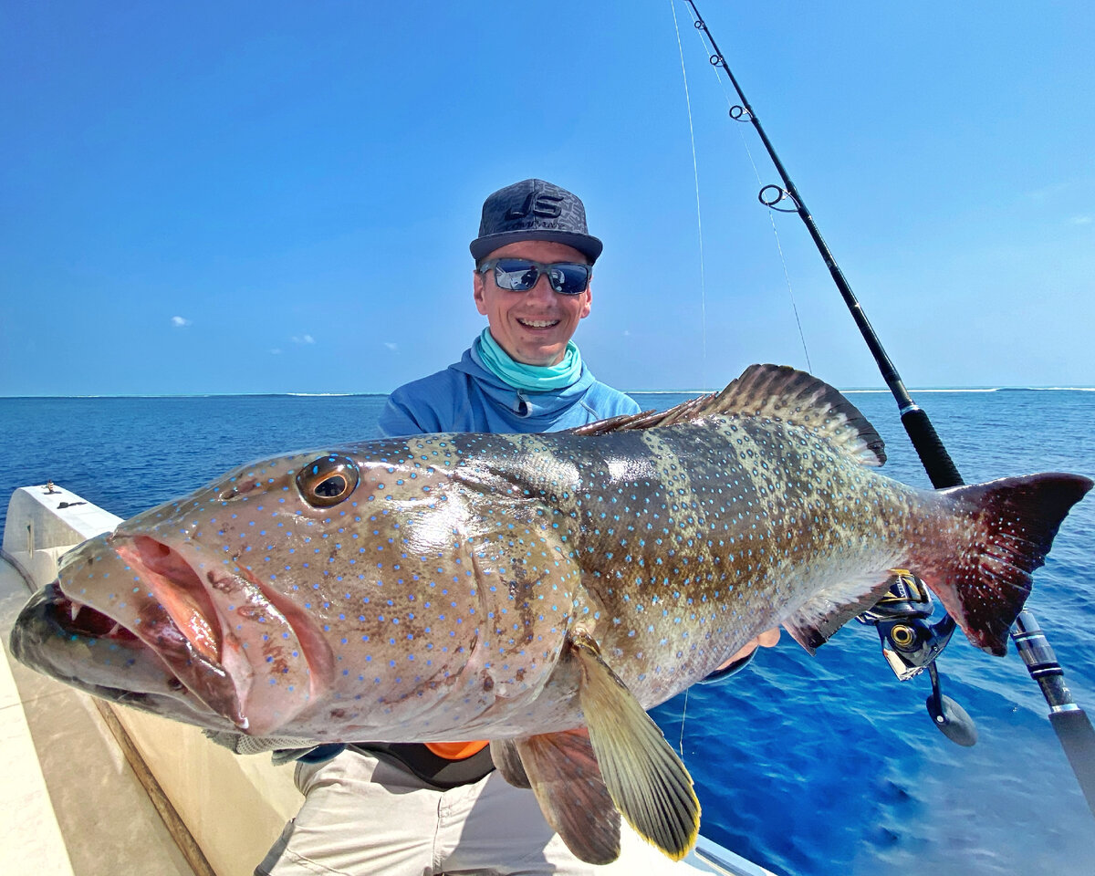 Коралловая форель.