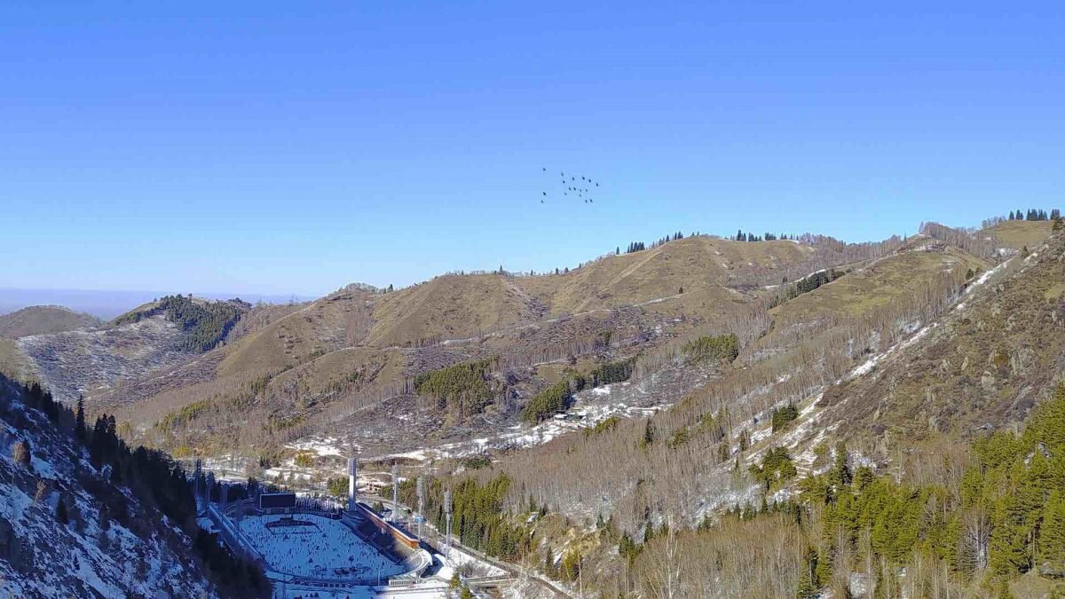    Фото: Sergey VA / Pixabay Август Макаров