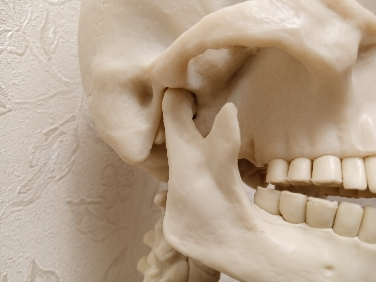 Почему болит челюстной сустав и можно ли что-то с этим сделать?