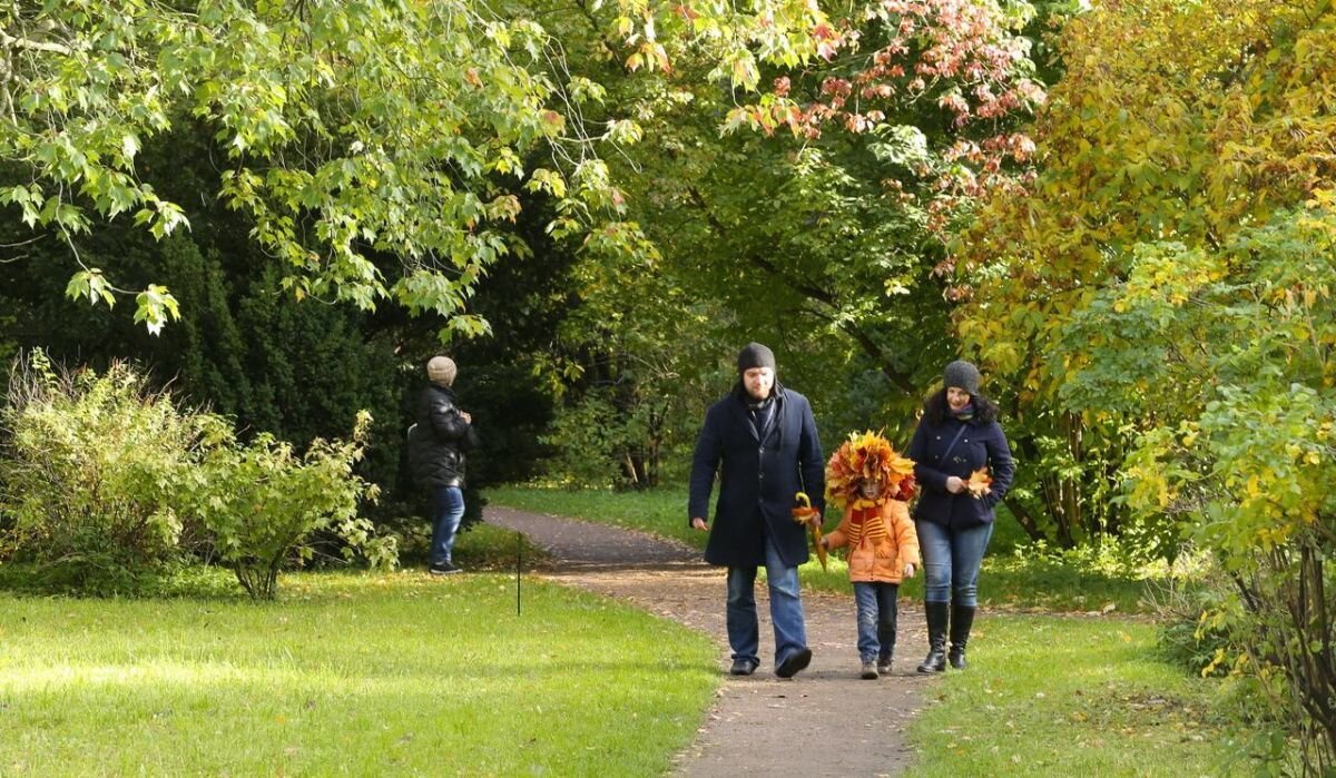     Люди гуляют в парке. Источник: fontanka.ru Автор фото: Ксения Потеева