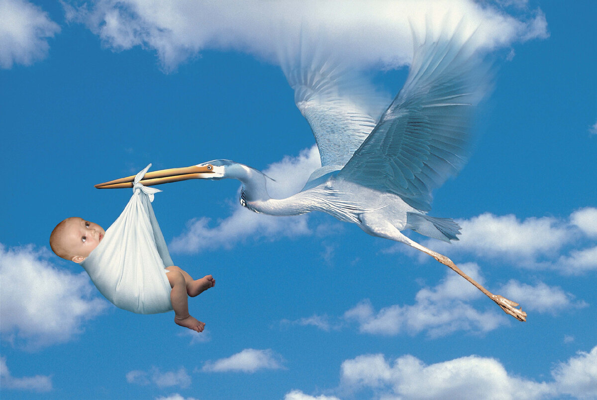 картинка  из интернета.