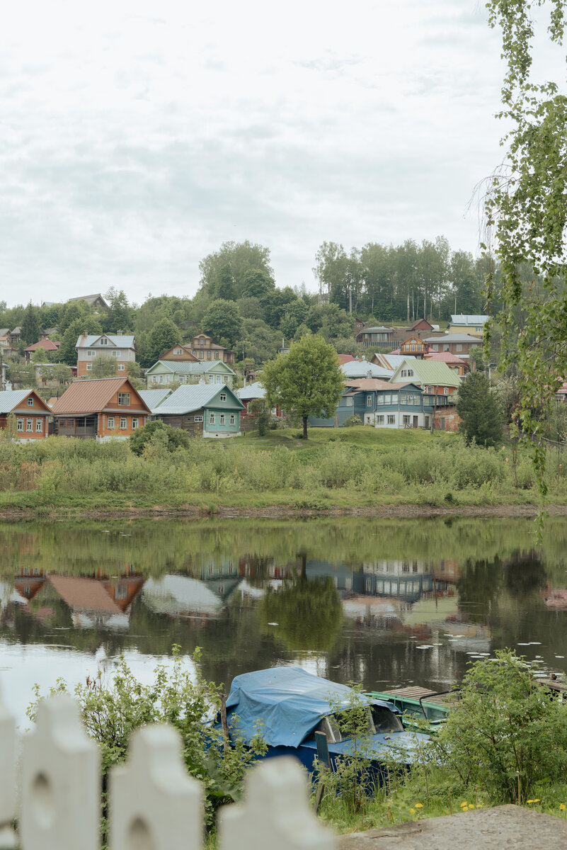 Жизнь замечательных плесян | Серый петербургский журнал | Дзен