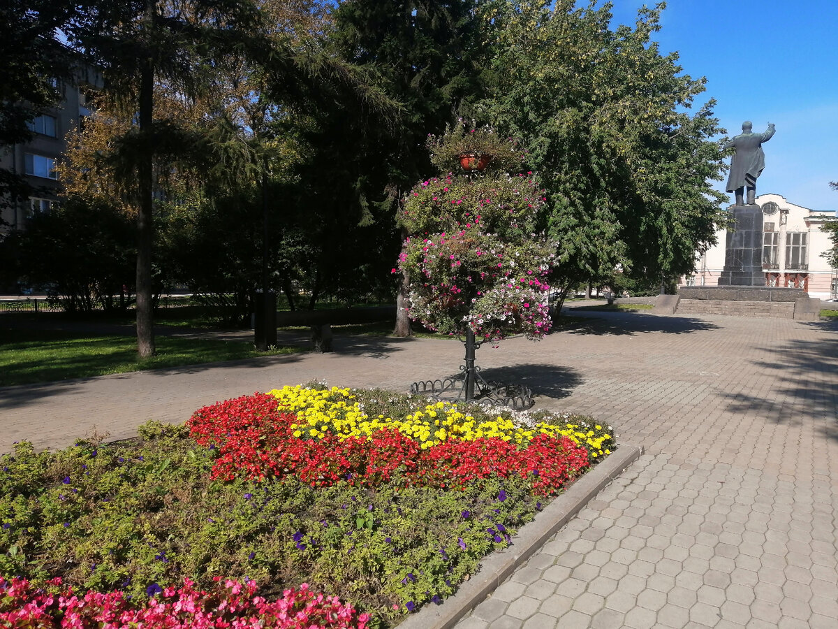 Фото автора. Аллея в этом году украшена очень красивыми цветами, впрочем, как и всегда.