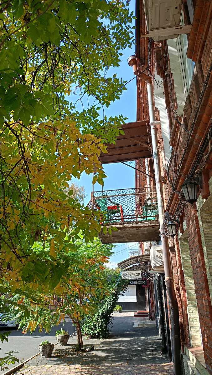 Утро у нашего дома