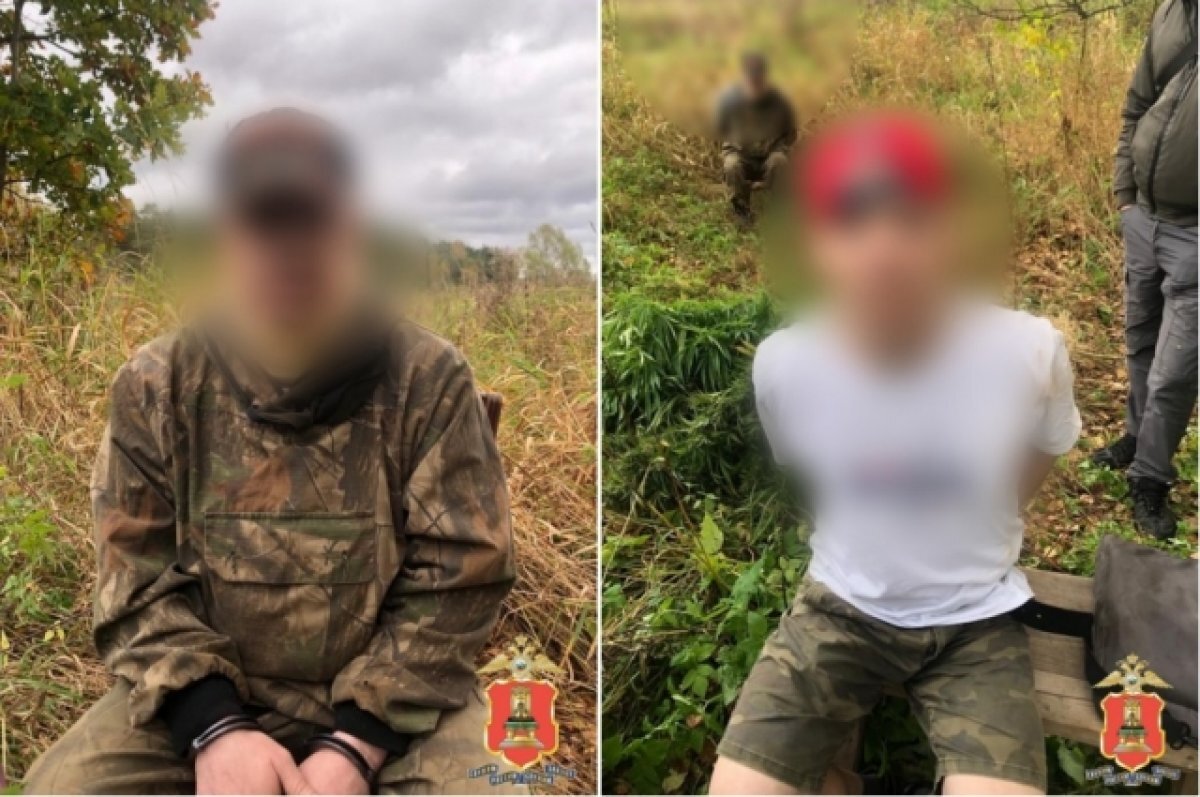   Братьев из Тверской области задержали по подозрению в хранении наркотика