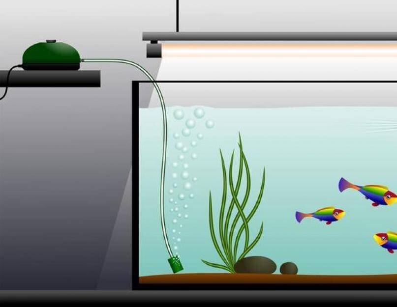 Как выбрать компрессор для аквариума