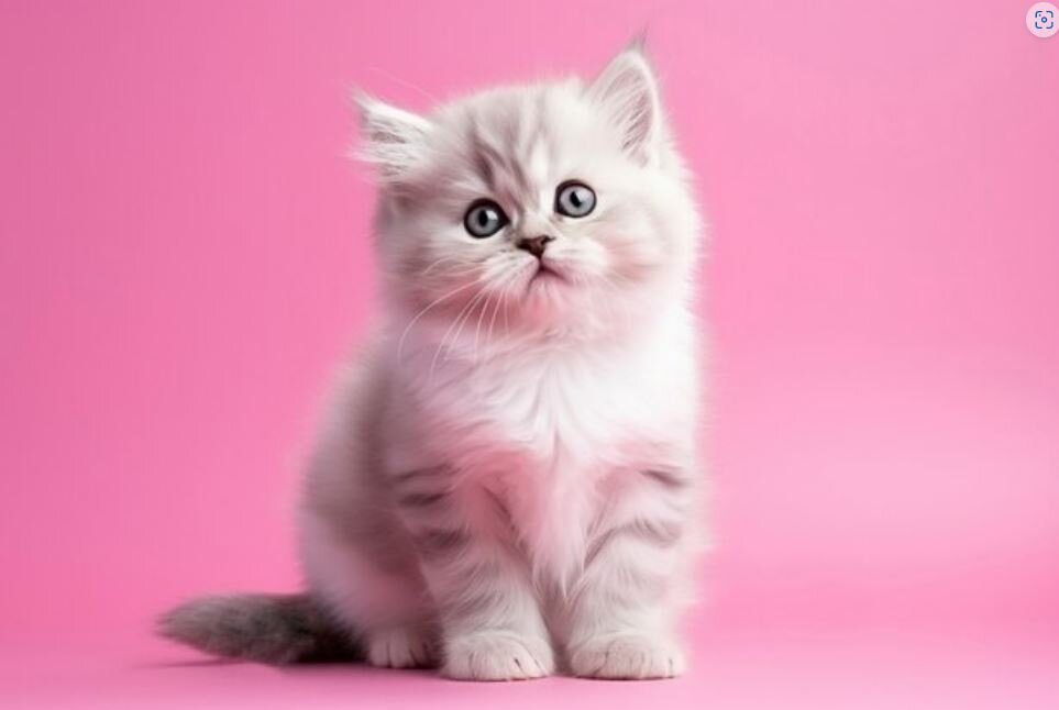 Фото: Freepik.com