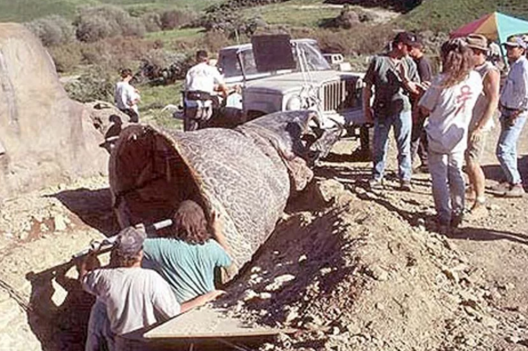 Съесть дрожь. Дрожь земли 1989. Дрожь земли кадры со съемок.