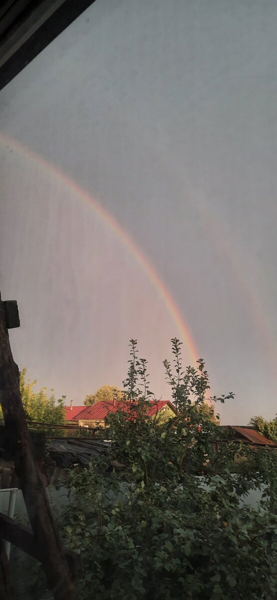 Просто летнее фото)))