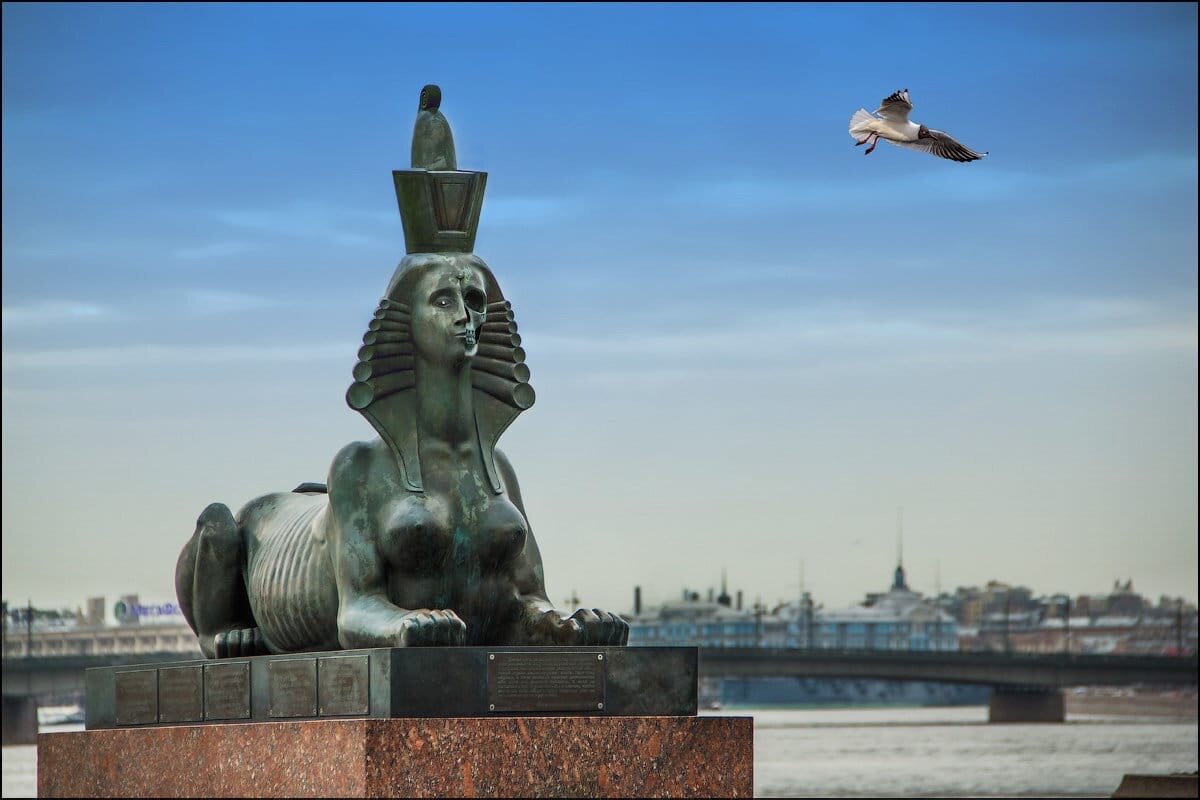 Фото: Яндекс картинки