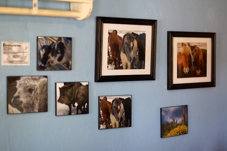 Самый простой вариант