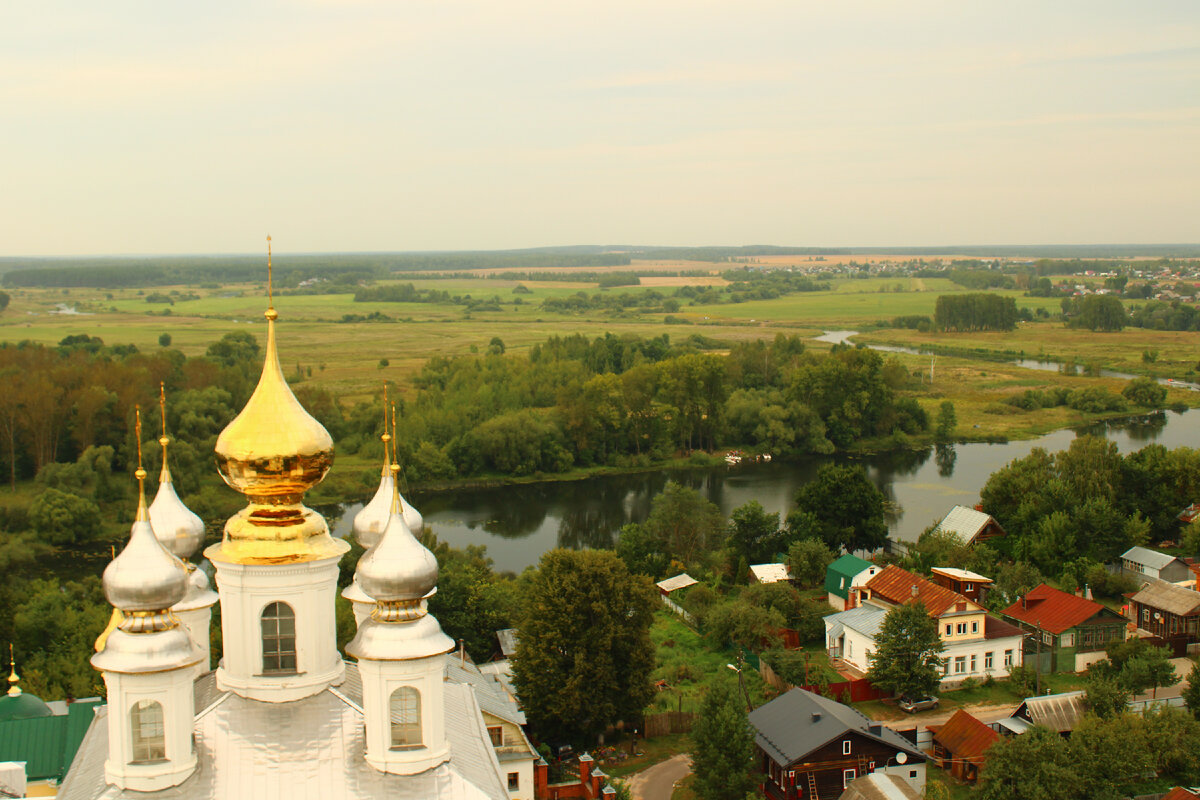 Вид на реку Теза и улицу Садовую