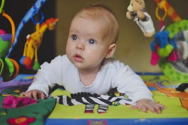 Фото: foto-besplatno.ru  📷
