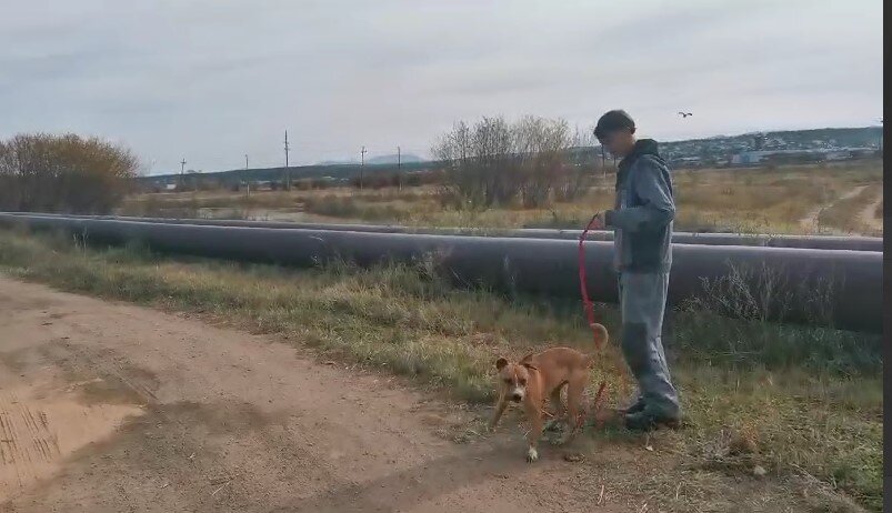 Прогулки