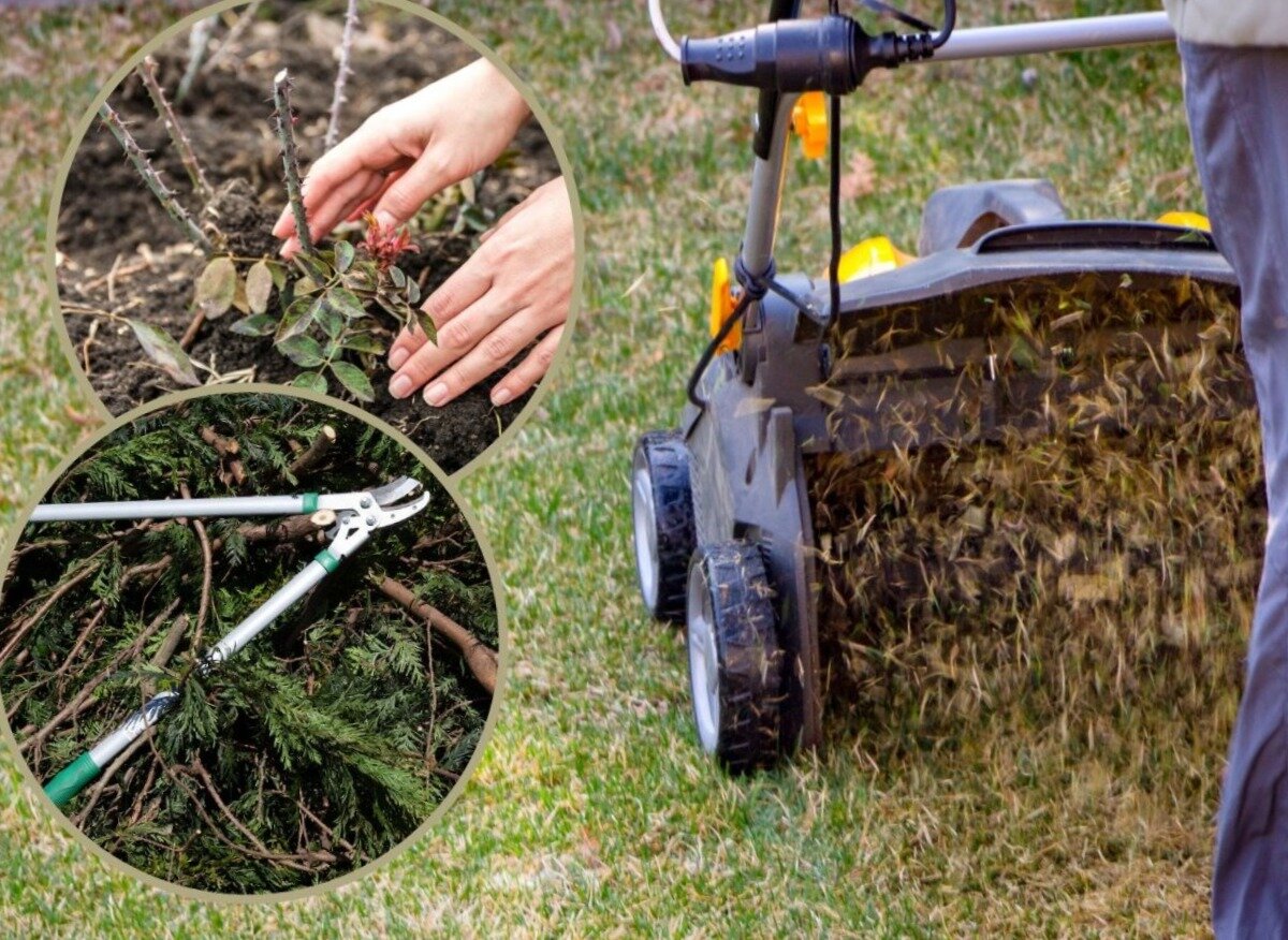 сколько стоит уход за садом