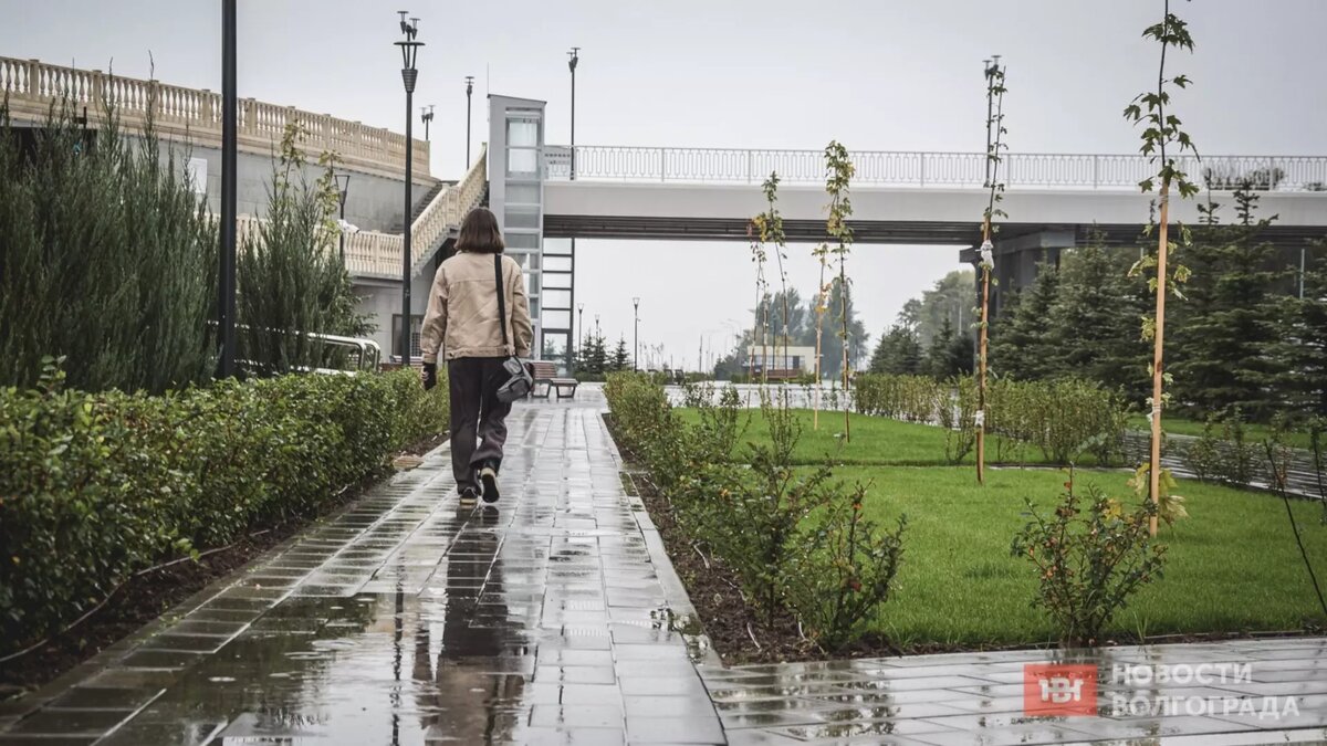     Синоптики прогнозируют ухудшение погодных условий в ночь на субботу на территории Волгоградской области, сообщает ГУ МЧС по региону.