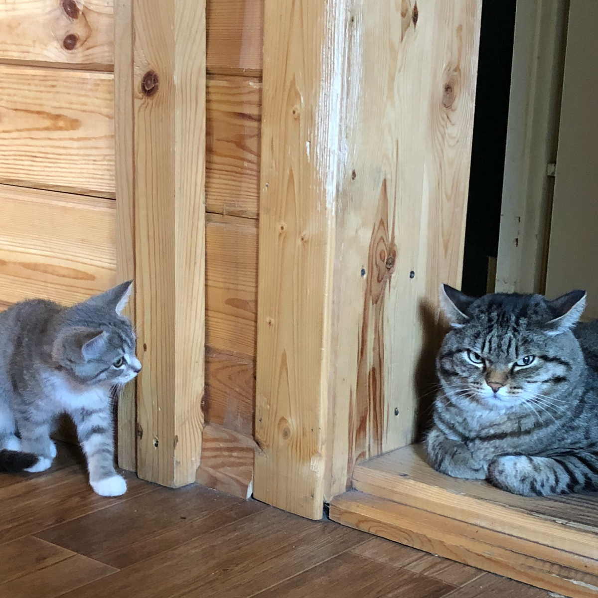 Рысик был в шоке от нашего самоуправства, конечно. 