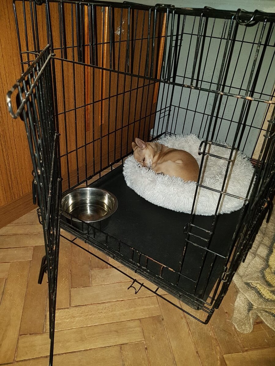 Адель обожает, когда именно в клетке лежит именно этот пуф