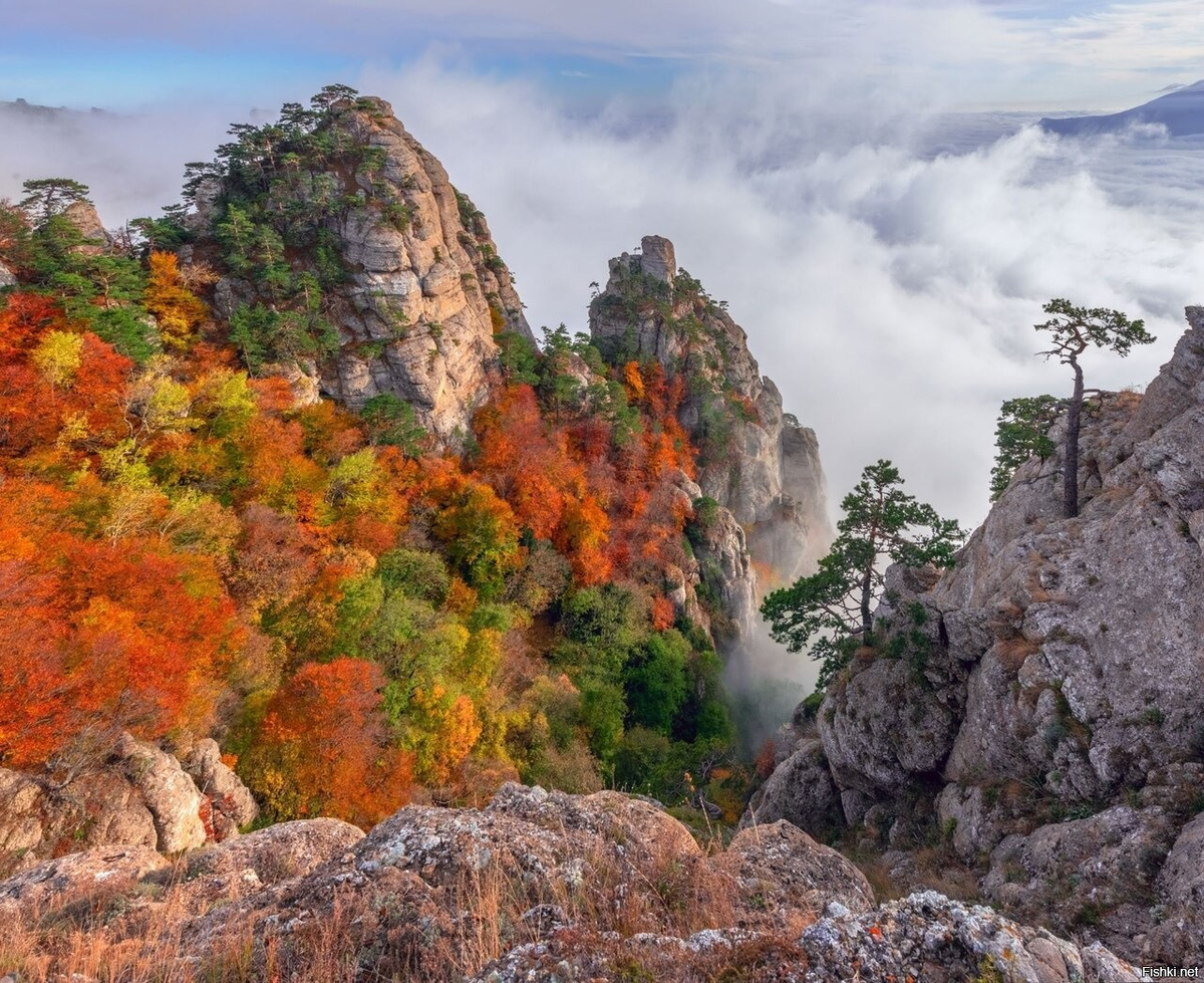 Осень в Крыму дзен