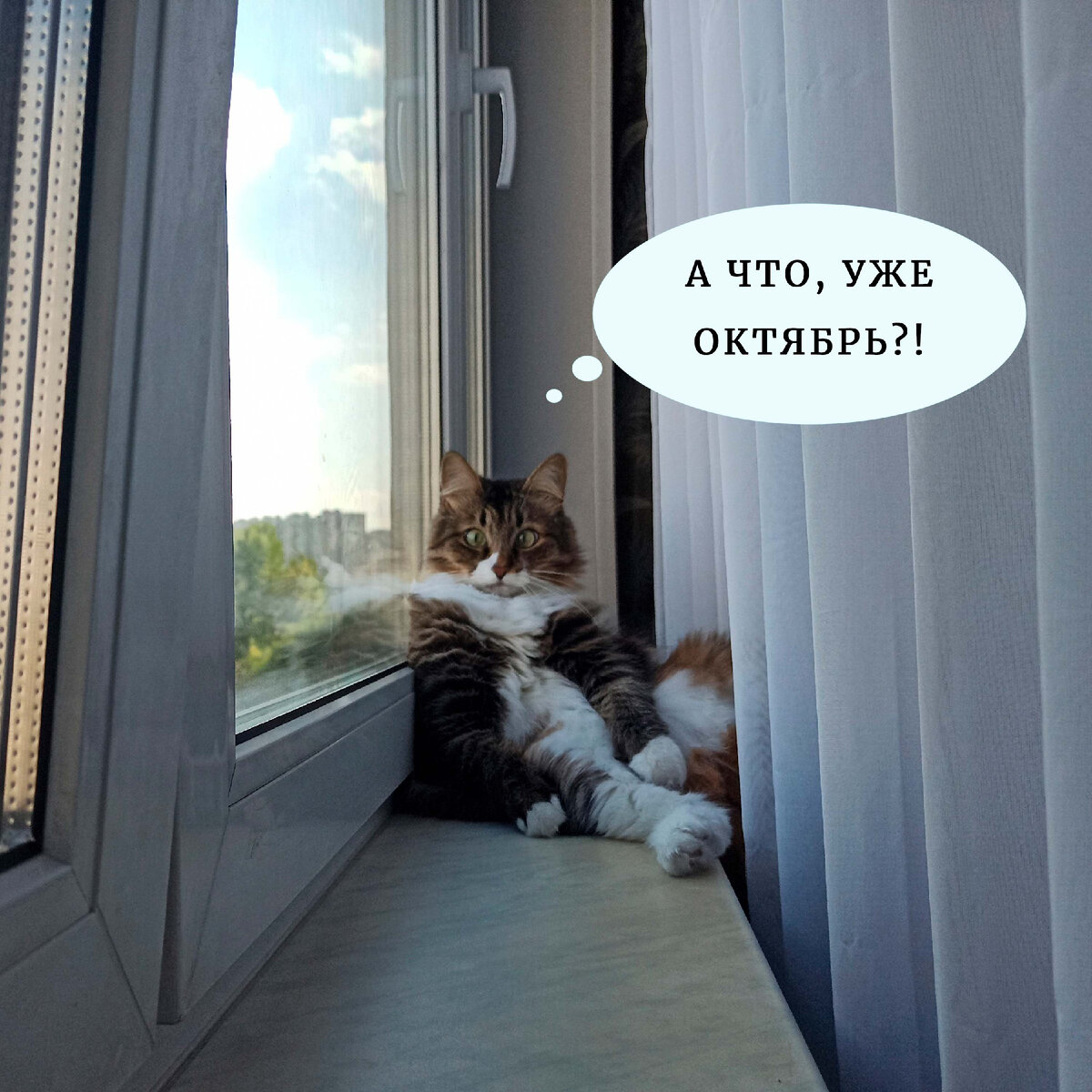 Удивительно, как летит время