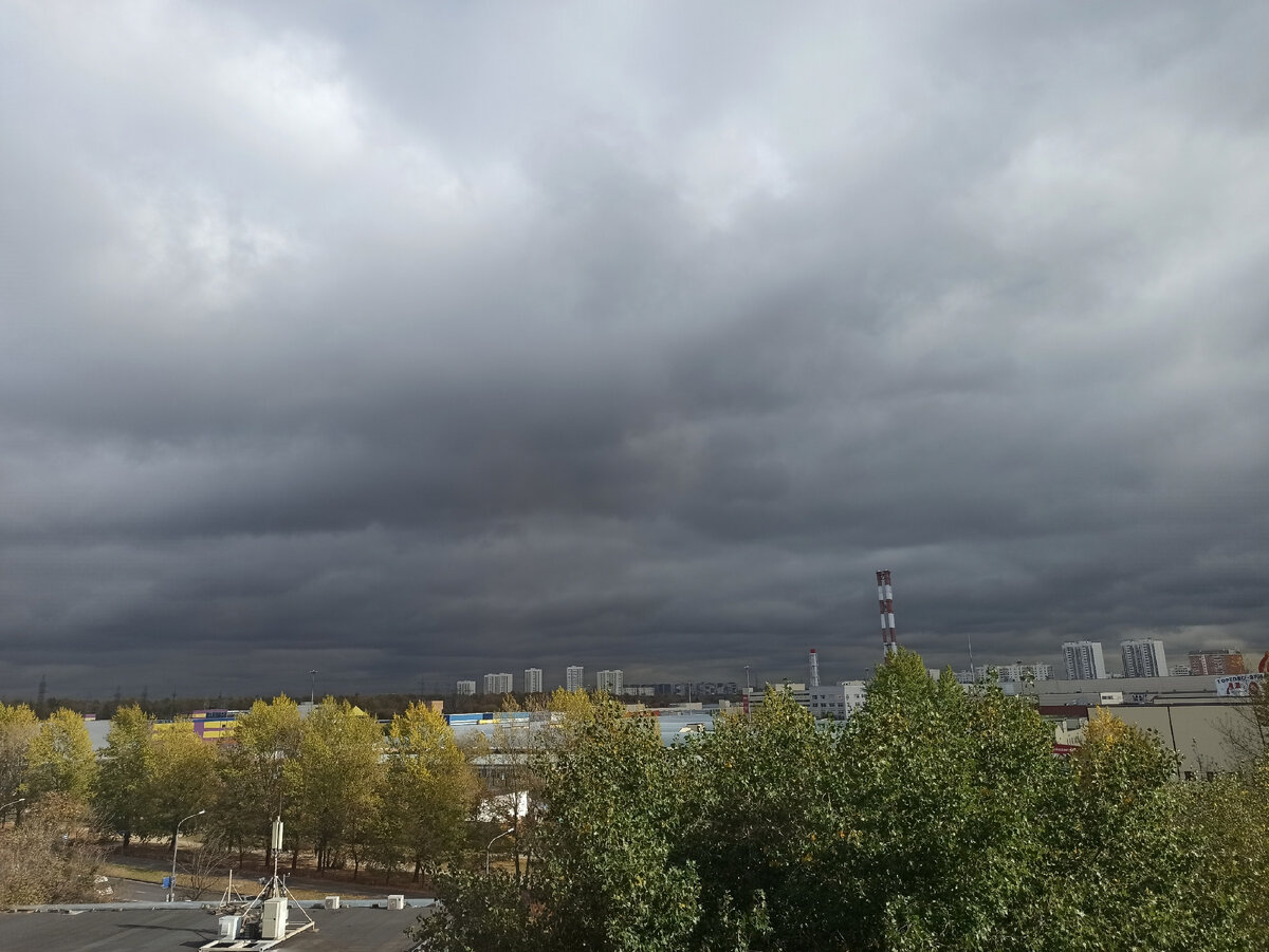 Грозное небо и верхушка все еще зеленого тополя