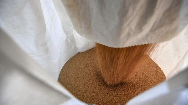    © Sputnik / Павел Лисицын