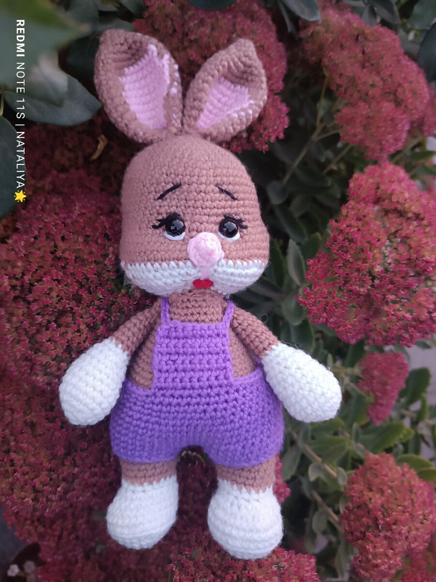 Зайка зазнайка