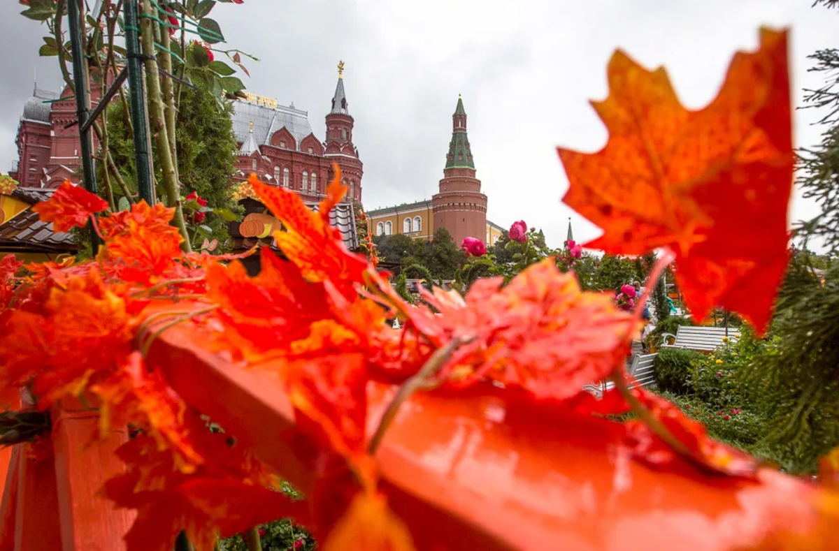 Туры ноябрь из москвы