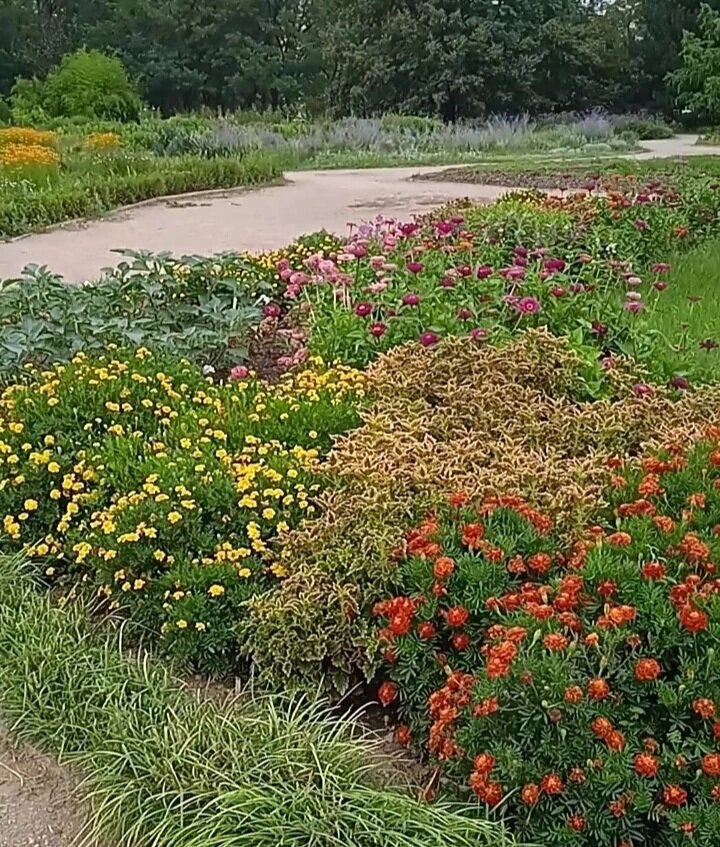 Цветочки для красоты и романтики) Фото автора