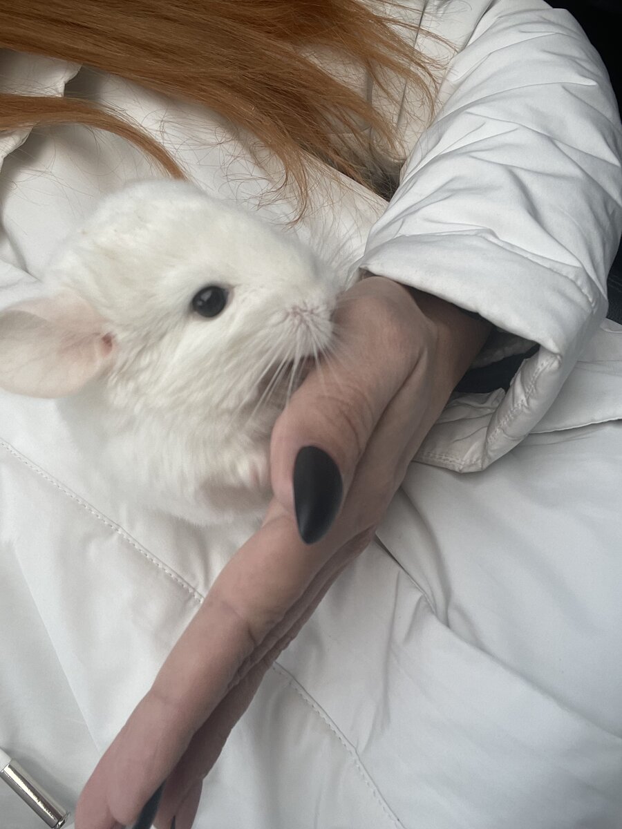 Личный архив 