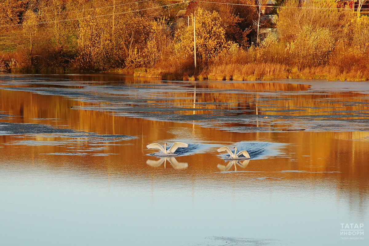 В октябре средняя месячная температура по республике окажется выше нормы в 4,9 градуса. Фото: © Султан Исхаков / «Татар-информ»