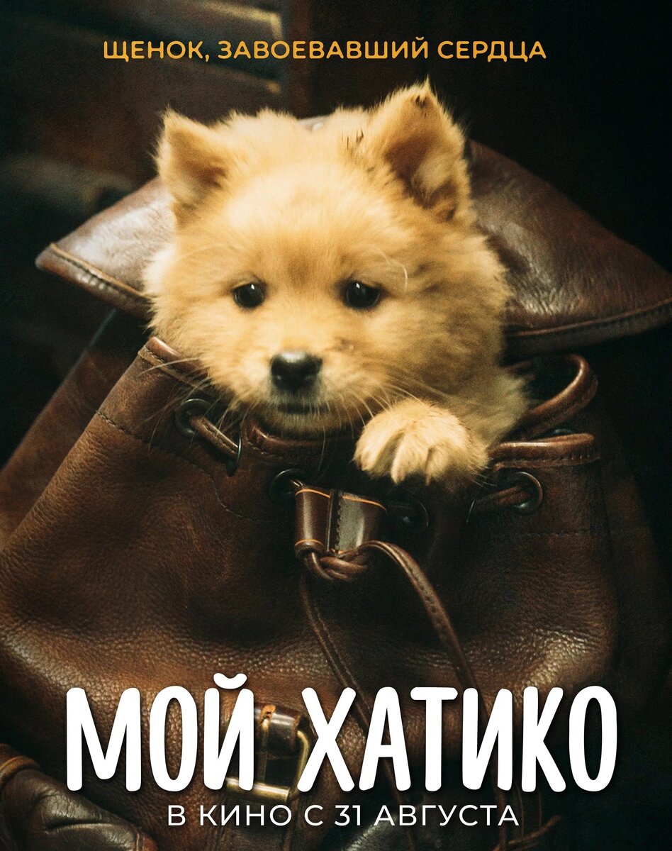 Постер к фильму "Мой Хатико" (изображение взято из открытых источников - сеть Интернет) 