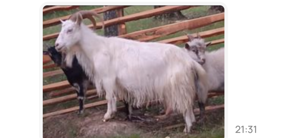 Фото автора канала.