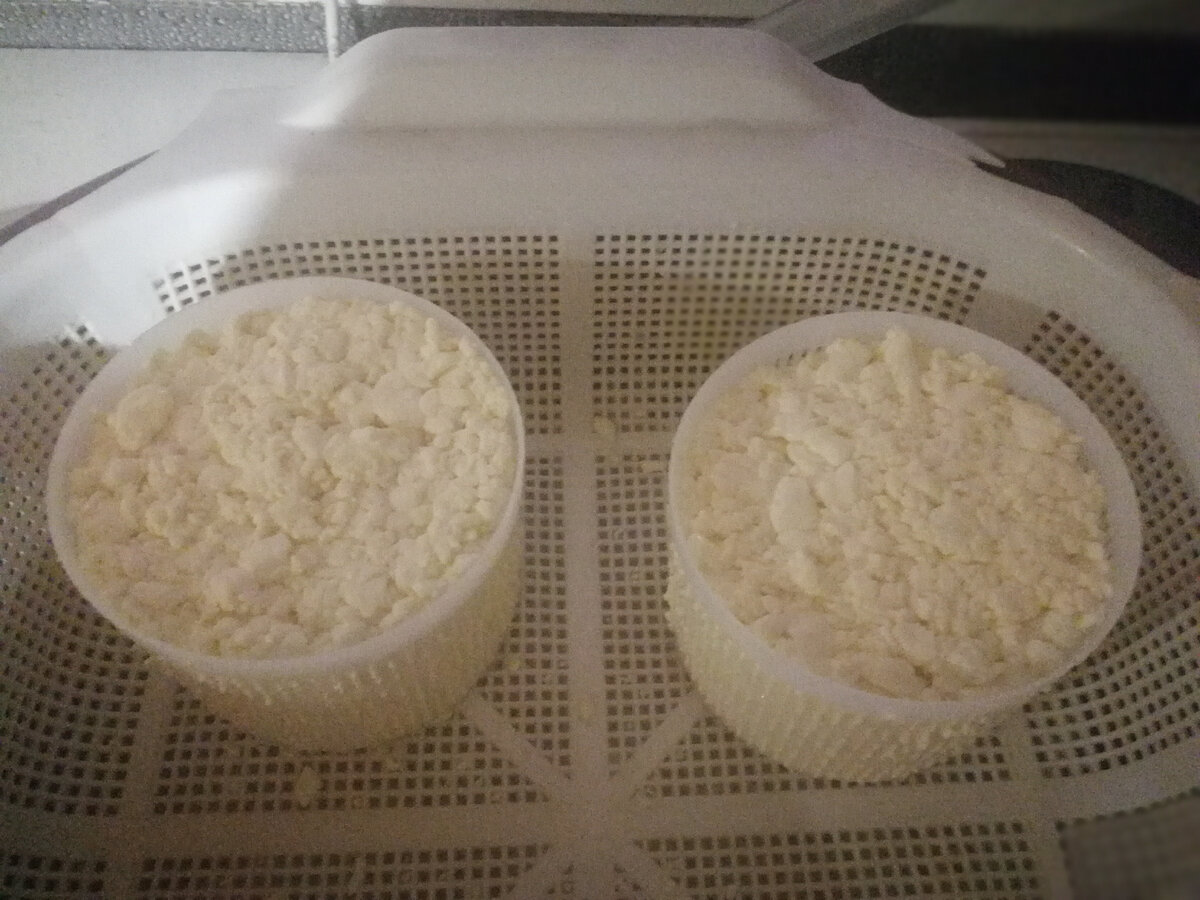 фото автора канала.