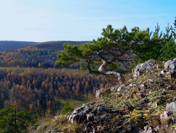 Гумеровское ущелье Башкирия