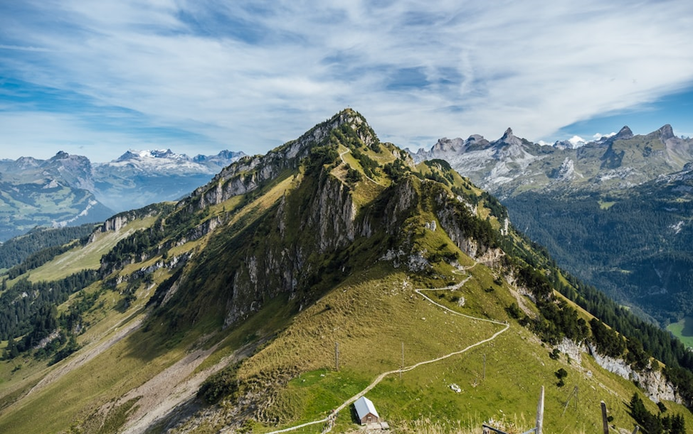 Источник фото: Unsplash