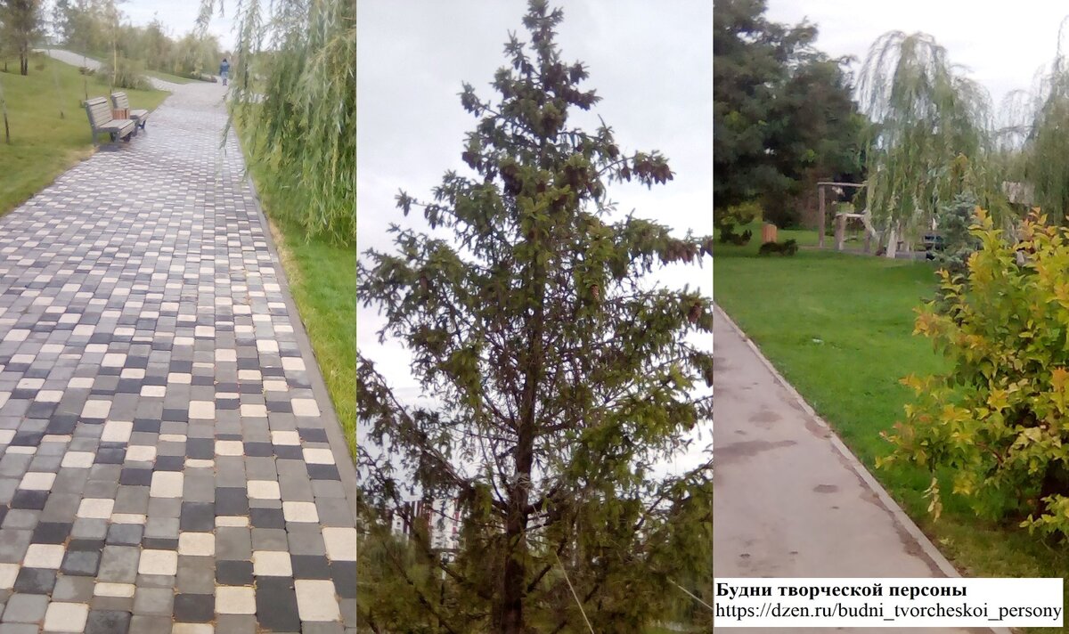 Мой сентябрь 2023