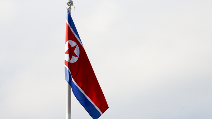 BULKIN SERGEY/NEWS.RU/GLOBALLOOKPRESS 