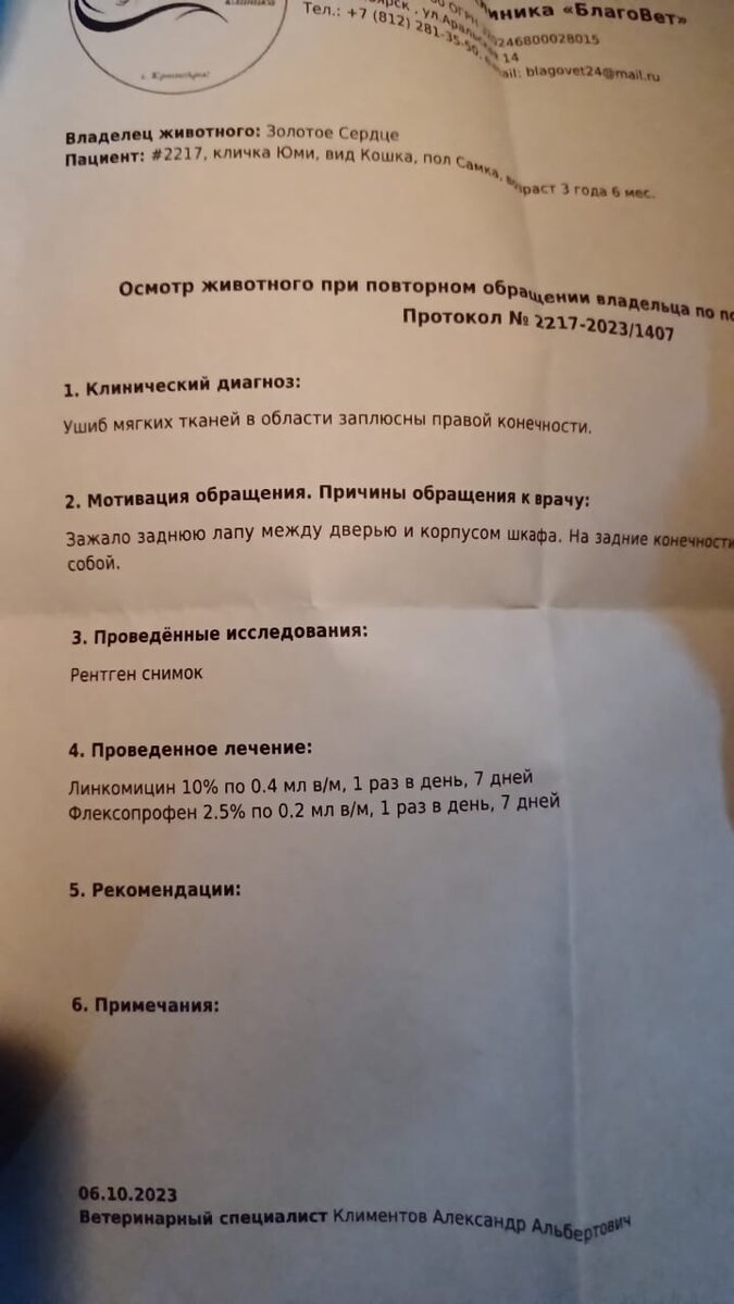 Выписка