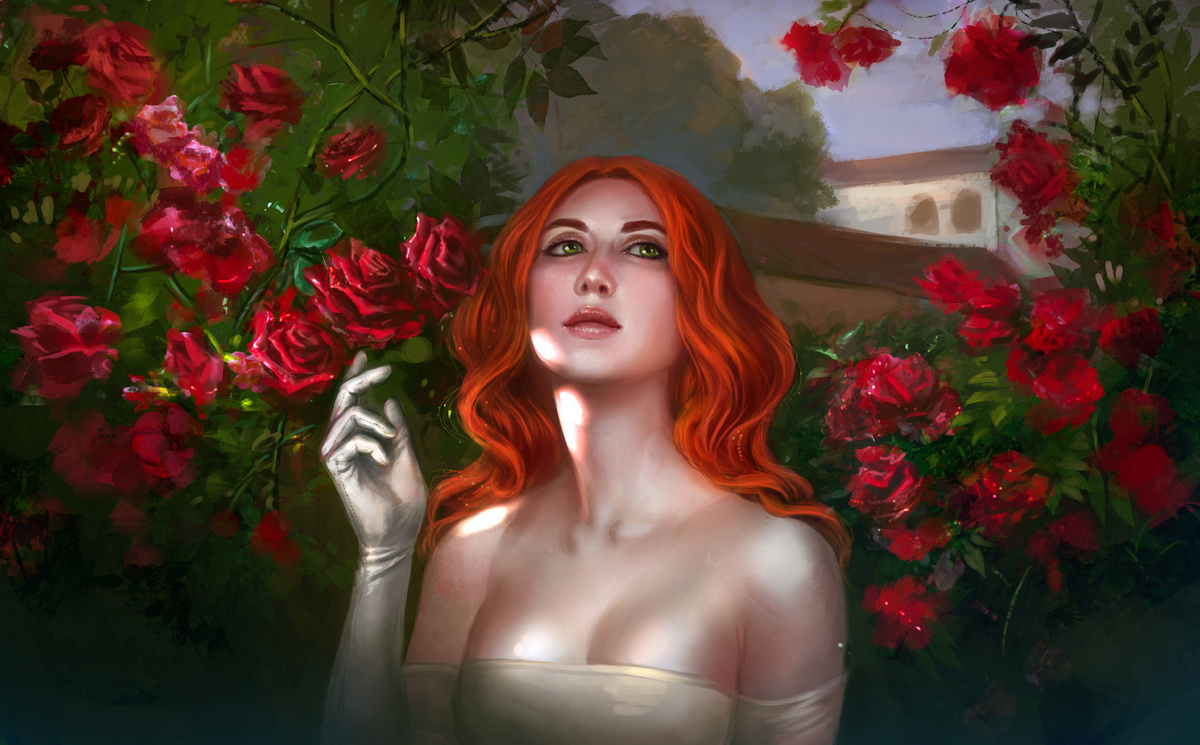 Картинка из интернет-пространства