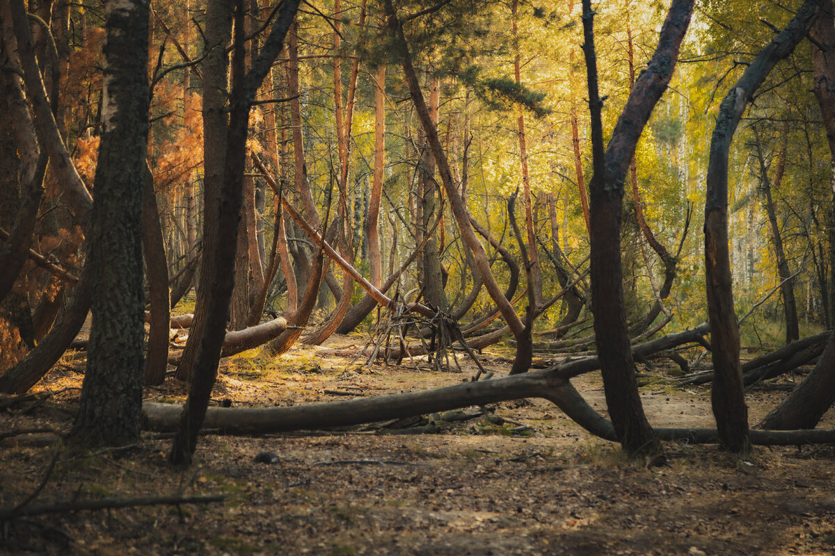 фото Алан Касоев 27.09.2023