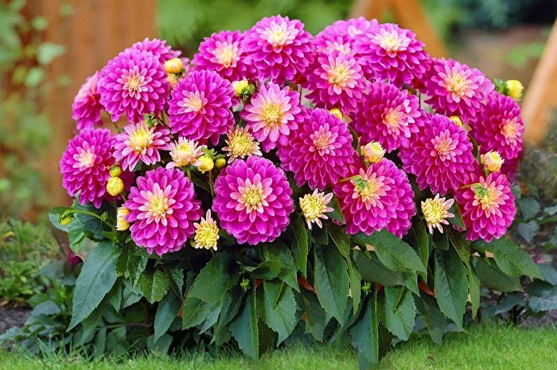 Фото из интернета