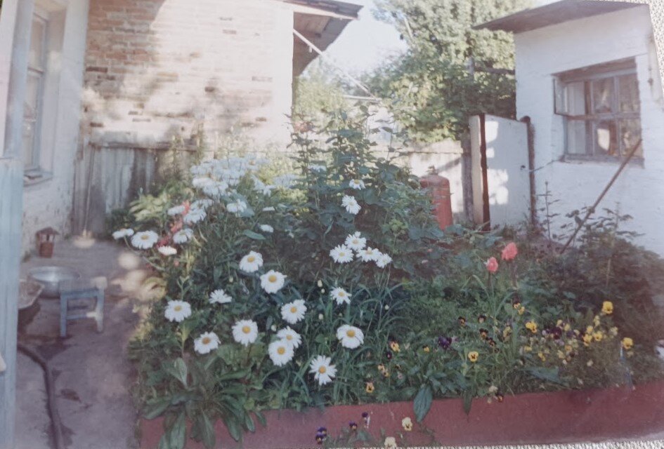 Маленькая клумба до начала строительства. Видна роза "Супер стар"